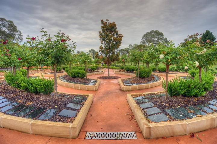 Forest Lawn Memorial Park Cremation